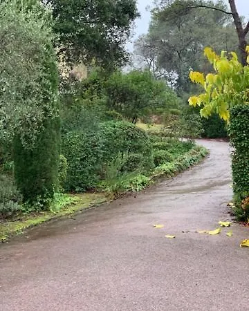 La Provencale