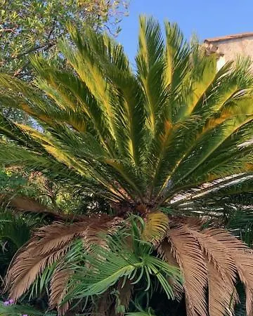 בית נופש La Provencale