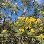 La Provencale Vakantiehuis Roquebrune-sur-Argens
