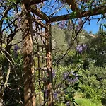 La Provencale * Roquebrune-sur-Argens