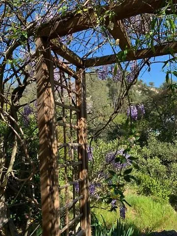 La Provencale * Roquebrune-sur Argens